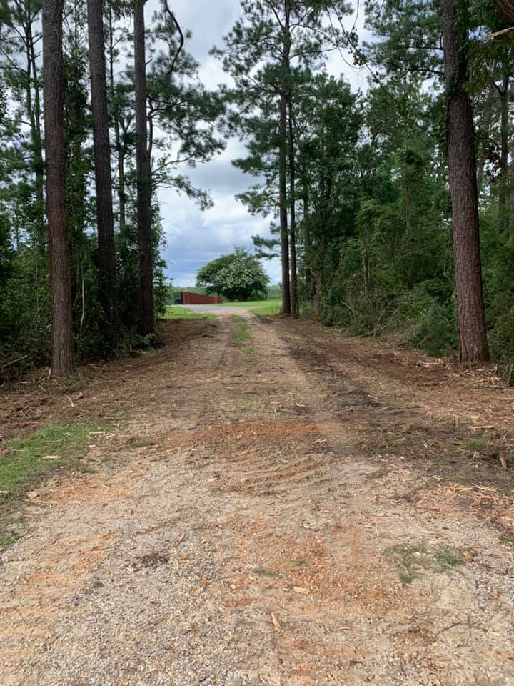 Driveway Clearing