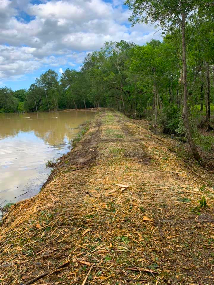 Pond Restoration